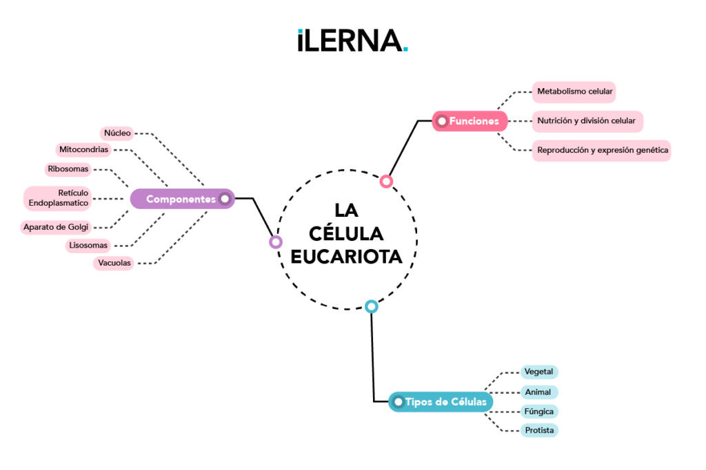 Mapa mental tradicional