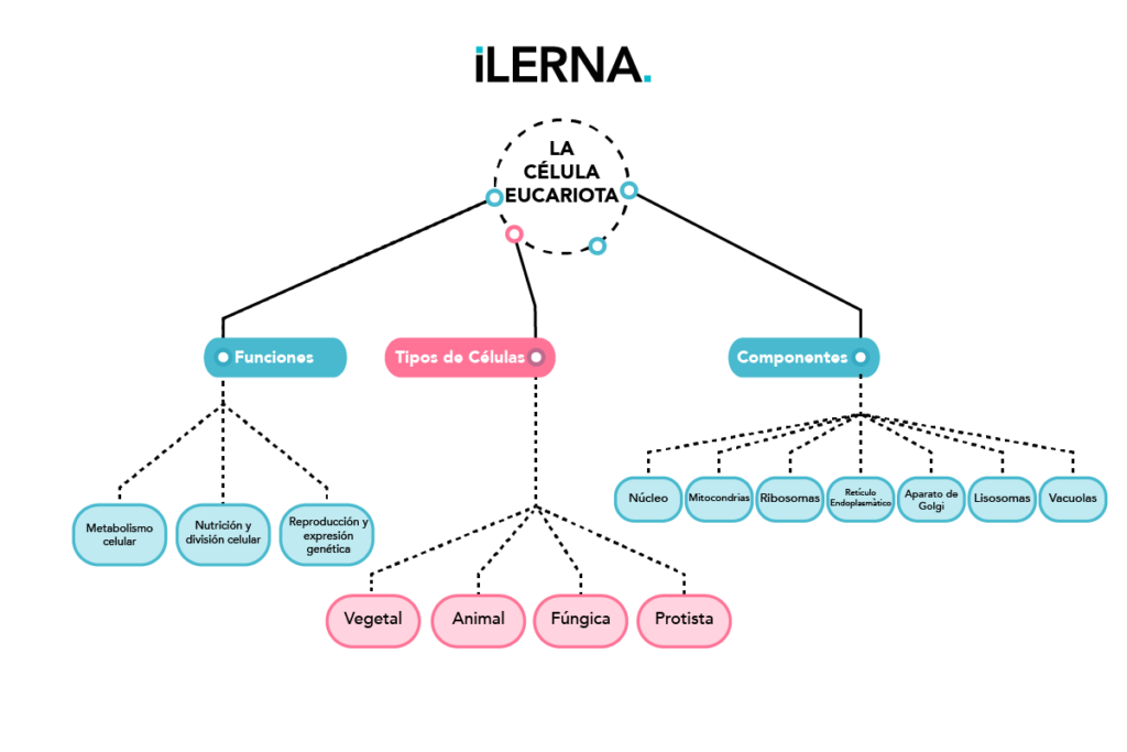 Mapa de árbol