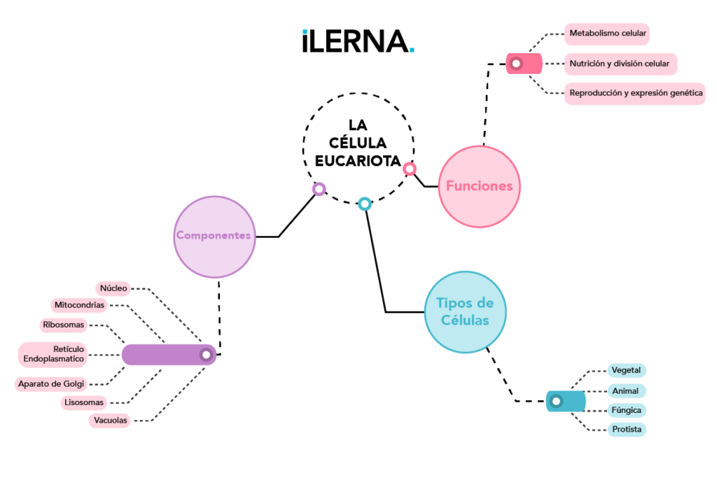 Mapa de burbuja