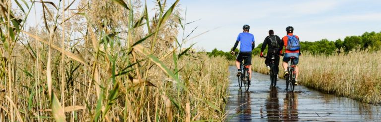 Hacer rutas en bicicleta es una actividad de agroturismo